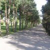 Озеро Иссык-Куль